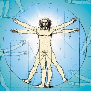 humanbody2