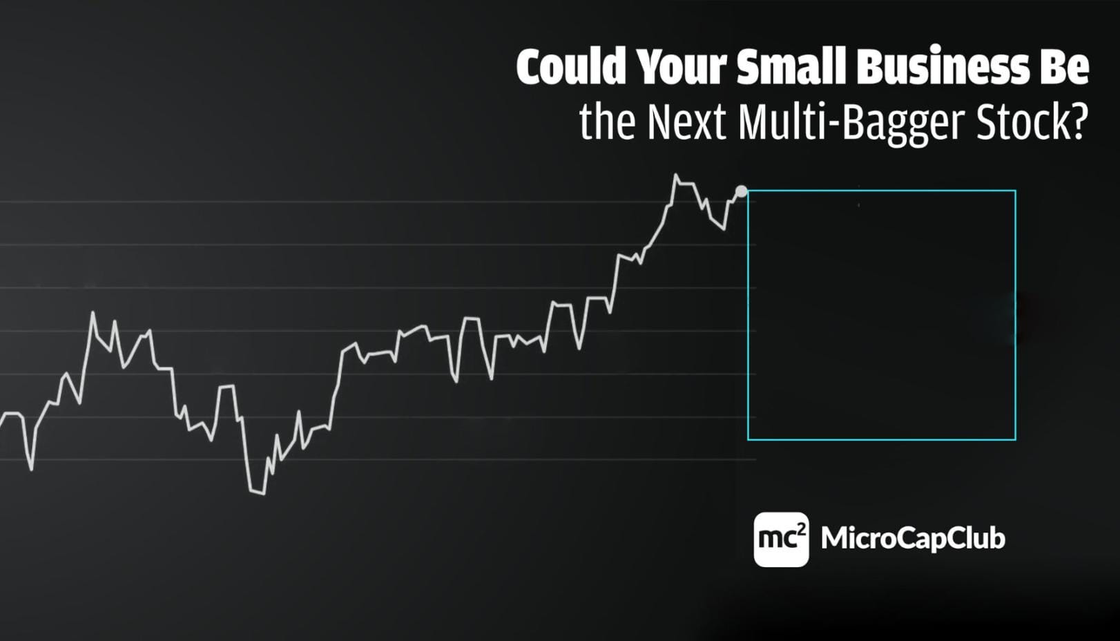 Could Your Small Business be the Next Multi-Bagger Stock?