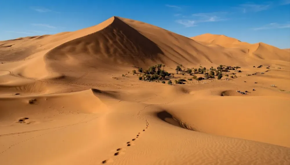 Finding Monsters in the Desert