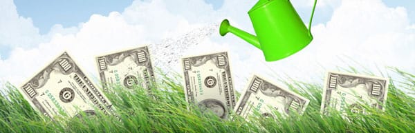 The Value of Net Operating Losses