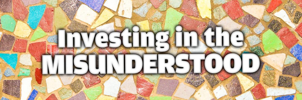Investing in the Misunderstood