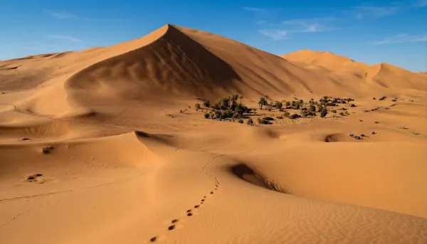 Finding Monsters in the Desert