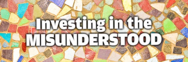 Investing in the Misunderstood